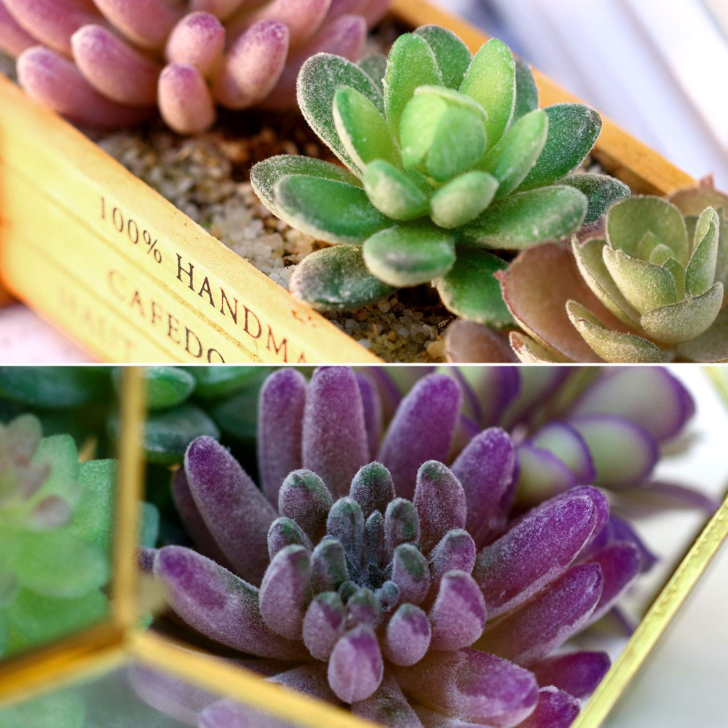 HASTHIP 8Pcs Artificial Succulent Plants, Faux Succulent in Flocked, Fake Textured Succulent for Indoor Outdoor Floral Arrangement Home Decor and DIY Landscape Decorations HASTHIP 8Pcs Artificial Succulent Plants, Faux Succulent in Flocked, Fake Textured Succulent for Indoor Outdoor Floral Arrangement Home Decor and DIY Landscape Decorations